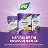 image:imageNatures Way Sambucus Elderberry Hot Drink Mix with Vitamin C and Echinacea Immune Support Honey LemonBerry Flavored 10 Packets Packaging May Vary