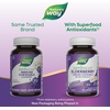 image:imageNatures Way Sambucus Elderberry Immune Chewable for Kids Ages 2 Immune Support Vitamin C Zinc with Superfood Antioxidants1 Gluten Free 40 Chewable Tablets Packaging May Vary