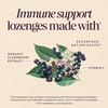 image:imageNatures Way Sambucus Elderberry Immune Lozenges for OntheGo Use with Vitamin C amp Black Elderberry Extract Vegan amp GlutenFree Immune Support Original Elderberry Flavor 30 Count30 Count Pack of 1