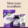 image:imageNatures Way Sambucus Elderberry Immune Lozenges for OntheGo Use with Vitamin C amp Black Elderberry Extract Vegan amp GlutenFree Immune Support Original Elderberry Flavor 30 Count30 Count Pack of 1