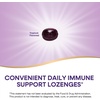image:imageNatures Way Sambucus Elderberry Immune Lozenges for OntheGo Use with Vitamin C amp Black Elderberry Extract Vegan amp GlutenFree Immune Support Original Elderberry Flavor 30 Count8 Count Pack of 3