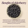 image:imageNatures Way Sambucus Elderberry Immune Lozenges for OntheGo Use with Vitamin C amp Black Elderberry Extract Vegan amp GlutenFree Immune Support Original Elderberry Flavor 30 Count30 Count Pack of 1