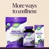 image:imageNatures Way Sambucus Elderberry Traditional Immune Syrup Highly Concentrated Black Elderberry Extract Traditional Immune Support Delicious Berry Flavored 8 Fl Oz Packaging May Vary8 Fl Oz Pack of 1
