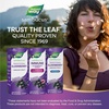 image:imageNatures Way Sambucus Immune Elderberry Syrup with Vitamin C Zinc Echinacea amp Propolis Concentrated Black Elderberry Extract Immune Support with Superfood Antioxidants1 Berry Flavored 8 Fl Oz8 Fl Oz Pack of 2