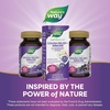 image:imageNatures Way Sambucus Kids Cough Relief 1 Immune Syrup Feel Better Faster1 Clinically Proven South African Geranium with Elderberry Extract Vitamin C amp Zinc Gluten Free Vegan 4 Fl Oz4 Ounce