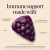 image:imageNatures Way Sambucus Kids Elderberry Immune Gummies with Black Elderberry Extract Daily Immune Support Gummy with Vitamin C and Zinc for Children Ages 2 60 Gummies Set of 360 Count Pack of 1