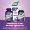 image:imageNatures Way Sambucus Kids Immune Elderberry Syrup Black Elderberry Extract with Echinacea amp Propolis Traditional Immune Support for Children with Superfood Antioxidants1 Berry Flavored 8 Fl Oz8 Fl Oz Pack of 2