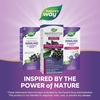 image:imageNatures Way Sambucus Nighttime Elderberry Syrup with Melatonin Supports Restful Sleep 4 Fl Oz