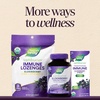 image:imageNatures Way Sambucus Organic Traditional Elderberry Syrup for Traditional Immune Support with Highly Concentrated Organic Black Elderberry Extract amp Superfood Antioxidants Berry Flavored 4 Fl Oz