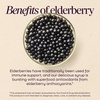 image:imageNatures Way Sambucus Organic Traditional Elderberry Syrup for Traditional Immune Support with Highly Concentrated Organic Black Elderberry Extract amp Superfood Antioxidants Berry Flavored 4 Fl Oz