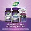 image:imageNatures Way Sambucus Sleep  Immune Gummies Sleep Support with Melatonin Vitamin C amp Zinc for Immune Support Black Elderberry Extract LTheanine 50 Gummies50 Count Pack of 2
