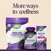 image:imageNatures Way Sambucus Ultra Immune Juicy Burst Immune Support Chews with ExtraStrength Formula1 Elderberry Chews with Vitamin D3 Vitamin C and Zinc Elderberry Extract Berry Flavor 30 Chews