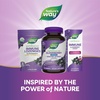 image:imageNatures Way Sambucus Zero Sugar Elderberry Gummies Immune Support Gummy for Adults amp Kids Ages 4 with Black Elderberry Extract Vitamin C Vitamin D3 and Zinc Zero Sugar 70 Gummies70 Count Pack of 2