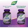 image:imageNatures Way Sambucus Zero Sugar Elderberry Gummies Immune Support Gummy for Adults amp Kids Ages 4 with Black Elderberry Extract Vitamin C Vitamin D3 and Zinc Zero Sugar 70 Gummies70 Count Pack of 2