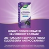 image:imageNatures Way Sambucus Zero Sugar Traditional Immune Syrup Highly Concentrated Black Elderberry Extract Traditional Immune Support SugarFree Berry Flavored 8 Fl Oz Packaging May Vary554 Fl Oz Pack of 1