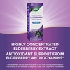 image:imageNatures Way Sambucus Zero Sugar Traditional Immune Syrup Highly Concentrated Black Elderberry Extract Traditional Immune Support SugarFree Berry Flavored 8 Fl Oz Packaging May Vary558 Fl Oz Pack of 1