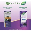 image:imageNatures Way Sambucus Zero Sugar Traditional Immune Syrup Highly Concentrated Black Elderberry Extract Traditional Immune Support SugarFree Berry Flavored 8 Fl Oz Packaging May Vary558 Fl Oz Pack of 1