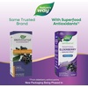 image:imageNatures Way Sambucus Zero Sugar Traditional Immune Syrup Highly Concentrated Black Elderberry Extract Traditional Immune Support SugarFree Berry Flavored 8 Fl Oz Packaging May Vary554 Fl Oz Pack of 1