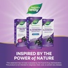 image:imageNatures Way Sambucus Zero Sugar Traditional Immune Syrup Highly Concentrated Black Elderberry Extract Traditional Immune Support SugarFree Berry Flavored 8 Fl Oz Packaging May Vary554 Fl Oz Pack of 1