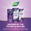 image:imageNatures Way Sambucus Zero Sugar Traditional Immune Syrup Highly Concentrated Black Elderberry Extract Traditional Immune Support SugarFree Berry Flavored 8 Fl Oz Packaging May Vary558 Fl Oz Pack of 1
