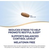 image:imageNatures Way Sleep Tonight StressReducing Formula to Promote Restful Nights Melatonin Free Sleep Support with Ashwagandha and LTheanine Vegan 28 Tablets Packaging May Vary