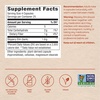 image:imageNatures Way Slippery Elm Bark Capsules Traditional Digestive Support to Soothe Gastrointestinal Tract 1600 mg per 4Capsule Serving for Traditional GI Support Vegan 100 Capsules100 Count Pack of 1