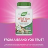 image:imageNatures Way Wild Yam Root Capsules Womens Traditional Health Support 700 mg per 2Capsule Serving NonGMO Project Verified 180 Vegan Capsules Packaging May Vary100 Count Pack of 2