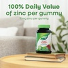 image:imageNatures Way Zinc Gummies Immune Support Gummy with 100 Daily Value of Zinc per 1Gummy Serving Adults amp Kids 9 Gluten Free PlantBased Pectin Mixed Berry Flavored 120 Gummies Set of 2120 Count Pack of 2