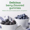 image:imageNatures Way Zinc Gummies Immune Support Gummy with 100 Daily Value of Zinc per 1Gummy Serving Adults amp Kids 9 Gluten Free PlantBased Pectin Mixed Berry Flavored 120 Gummies Set of 2120 Count Pack of 1