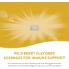 image:imageNatures Way Zinc Lozenges with Vitamin C amp Echinacea Zinc Supplements for Men and Women Convenient Lozenge Supports Immune Health and Function Vegan Wild Berry Flavored 60 Count60 Count Pack of 2