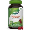 image:imageNatures Way Adult Melatonin Gummies Sleep Support 5 mg Melatonin per 2Gummy Serving Helps Support Restful Sleep Fall Asleep Faster Strawberry Flavored 120 Gummies Set of 2120 Count Pack of 1