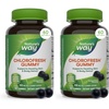 image:imageNatures Way Chlorofresh Chlorophyll Gummies Supports Healthy Skin and Body Detox Internal Deodorant Orchard Fruit Flavored 60 Gummies60 Count Pack of 2