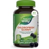 image:imageNatures Way Chlorofresh Chlorophyll Gummies Supports Healthy Skin and Body Detox Internal Deodorant Orchard Fruit Flavored 60 Gummies60 Count Pack of 1