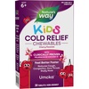 image:imageNatures Way Kids Cold Relief Chewables Umcka Ages 6 Shortens Duration and Reduces Severity MultiSymptom Cold Remedy NonDrowsy Cherry Flavored 30 Tablets