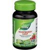 image:imageNatures Way Raspberry Leaf  Traditional Womens Wellness Supplement for PlantBased Support  Traditional Herbal Supplement  Vegan GlutenFree amp DairyFree  100 Count 50 Servings