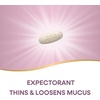 image:imageNatures Way AirPower Guaifenesin Expectorant Mucus Relief Clears Respiratory Airways Thins amp Loosens Mucus Vegan 100 Tablets Packaging May Vary