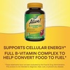 image:imageNatures Way Alive Vitamin B Complex Gummies Cellular Energy Support 8 BVitamins Vegetarian Mango Flavored 60 Count Packaging May Vary60 Count Pack of 1