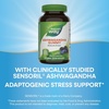 image:imageNatures Way Ashwagandha Gummies Reduce Stress with Adaptogenic Herb 125 mg Per 2Gummy Serving Berry Flavored 90 Gummies Packaging May Vary