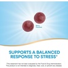 image:imageNatures Way Ashwagandha Gummies Reduce Stress with Adaptogenic Herb 125 mg Per 2Gummy Serving Berry Flavored 90 Gummies Packaging May Vary