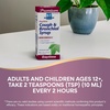 image:imageNatures Way Boericke amp Tafel Daytime Cough amp Bronchial Syrup Cough Suppressant and Expectorant NonDrowsy 4 fl oz