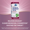 image:imageNatures Way Boericke amp Tafel Daytime Cough amp Bronchial Syrup Cough Suppressant and Expectorant NonDrowsy 4 fl oz