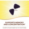 image:imageNatures Way Brain Fuel Gummies Brain Supplement for Focus and Memory Support Clinically Studied Cognigrape Supports Cognition Vitamins B6 amp B12 Support Brain Function Grape Flavored 60 Count60 Count Pack of 2