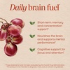 image:imageNatures Way Brain Fuel Gummies Brain Supplement for Focus and Memory Support Clinically Studied Cognigrape Supports Cognition Vitamins B6 amp B12 Support Brain Function Grape Flavored 60 Count60 Count Pack of 1
