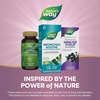 image:imageNatures Way Bronchial Soothe Ivy Leaf Extract Syrup Supports Respiratory Health Supports Clear Bronchial Passages NonDrowsy 4 Fl Oz Packaging May Vary4 Fl Oz Pack of 2