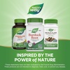 image:imageNatures Way Burdock Root Traditional Joint Support 100 Vegan Capsules Packaging May Vary