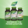 image:imageNatures Way Coconut Oil 62 MCTs1 Hexane Free 120 Softgels Packaging May Vary