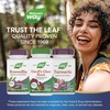 image:imageNatures Way Devils Claw Root Traditional Joint Support 960 mg per 2Capsule Serving GlutenFree NonGMO Project Verified 100 Vegan Capsules Packaging May Vary