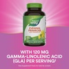 image:imageNatures Way Evening Primrose Oil Cold Pressed 120 mg GLA per Serving1 120 Softgels Packaging May Vary120 Count Pack of 1