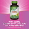 image:imageNatures Way Evening Primrose Oil Cold Pressed 120 mg GLA per Serving1 120 Softgels Packaging May Vary60 Count Pack of 1