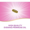 image:imageNatures Way Evening Primrose Oil Cold Pressed 120 mg GLA per Serving1 120 Softgels Packaging May Vary60 Count Pack of 1